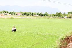 Xã Ninh Đông: Khó phát huy các sản phẩm OCOP