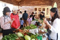 Đường tới Phiên chợ nông sản hữu cơ