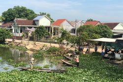 Thừa Thiên - Huế: Trục vớt, xử lý bèo lục bình làm đẹp dòng sông