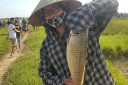 Hào hứng, sôi động lễ hội đánh bắt cá tại Hà Tĩnh