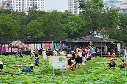 Chị em chen chân chụp ảnh tại đầm sen Tây Hồ