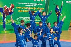 Khai mạc Giải Hội khỏe Phù Đổng môn Vovinam Việt Võ Đạo - Cúp Nestlé MILO lần III