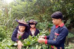 Người thầy thuốc xử lý nhanh các bệnh xương khớp, đại tràng, dạ dày, phụ khoa…