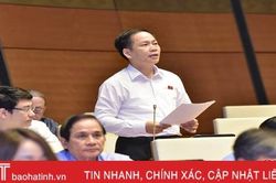Đoàn Đại biểu Quốc hội tỉnh Hà Tĩnh tiếp tục đề nghị dừng khai thác mỏ sắt Thạch Khê