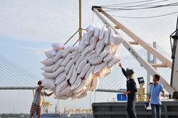 Việt Nam trúng thầu xuất khẩu 30 nghìn tấn gạo trắng sang Philippines