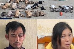 Cặp tình nhân dùng chất kịch độc đánh bả chó, mèo bán cho quán nhậu