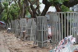 Vì sao các cây sưa trên đường Nguyễn Văn Huyên phải 'mặc giáp sắt'?