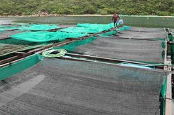 Xây dựng cơ chế đặc thù thu hút đầu tư tại khu vực vịnh Vân Phong