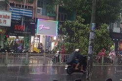 Mưa lớn ở Sài Gòn kéo dài hơn 2 giờ đồng hồ khiến nhiều tuyến đường ngập nặng, cây xanh ngã đổ