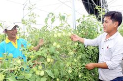 Xây dựng hậu nông thôn mới giàu có và hiện đại