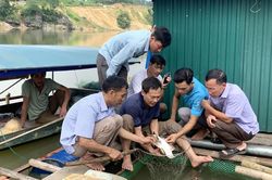 Dạy nghề bám sát nhu cầu của hội viên nông dân