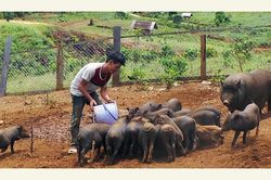 Chuyển biến tích cực trong công tác giảm nghèo ở Kon Plông