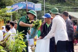 Tặng cây giống cho 350 gia đình DTTS huyện Nậm Pồ