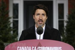 Canada yêu cầu Iran đền bù cho nạn nhân của vụ bắn nhầm máy bay