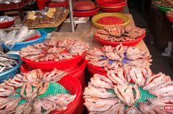 Cục An toàn thực phẩm cảnh báo nguy cơ ngộ độ thực phẩm sau bão lụt