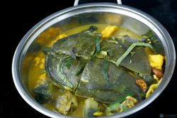 Ăn ba ba, người đàn ông sốc phản vệ suýt chết