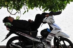 Những điểm nghỉ trưa tránh nóng lý tưởng của dân lao động
