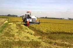 Xử lý đốt rơm rạ ngoại thành Hà Nội: Hiệu quả từ đẩy mạnh cơ giới hóa