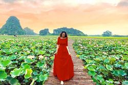 Đầm sen ở Hang Múa nở rộ, giới trẻ đua nhau thả dáng