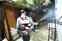 Nguy cơ phát sinh các ổ bệnh sốt xuất huyết ở Hà Nội