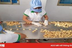 Đưa bánh hạnh nhân Tiến Anh vươn xa