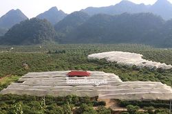 Mộc Châu chủ động phòng, chống thiên tai