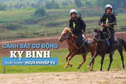 Cảnh sát cơ động Kỵ binh huấn luyện ngựa nghiệp vụ