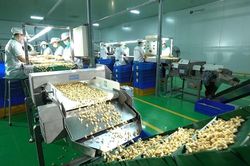Thời cơ mới cho xuất khẩu điều từ Hiệp định EVFTA
