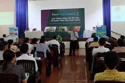 Nâng cao chất lượng hồ tiêu với giải pháp của Bayer