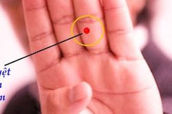 Sức khỏe tốt lên nhanh bất ngờ khi ấn vào điểm đơn giản này trên bàn tay mỗi ngày