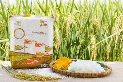 Gạo nếp ngon A Sào - nấu gì cũng ngon 'bất bại'