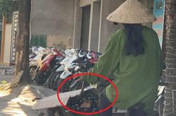 Hình ảnh em bé lấp ló trong chiếc xe hàng cũ kỹ của mẹ giữa tiết trời nóng nực khiến nhiều người thương cảm