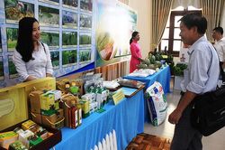 Tìm kiếm đầu ra cho sản phẩm công nghiệp nông thôn