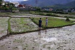 Triệu tập thêm nhiều nghi can trong vụ chém chết hai vợ chồng chủ nợ ở Điện Biên