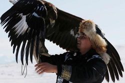 Những chú đại bàng vàng dũng mãnh bên cạnh thợ săn Kazakhstan
