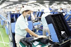 Những công cụ tiếp cận thị trường EVFTA