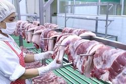 Không để điều hành giá thịt lợn bằng mệnh lệnh hành chính
