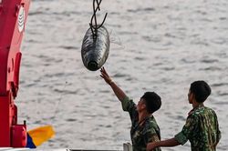 Hơn 1 giờ căng thẳng vớt quả bom gần cầu Long Biên