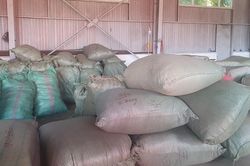 Hơn 100 tấn dược liệu đội lốt củ quả nhập khẩu vào Đà Nẵng