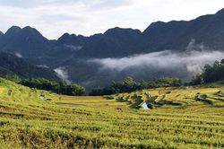 Pù Luông đẹp nhất vào mùa lúa chín