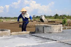 Nắng rát da, diêm dân Hà Tĩnh phơi mình trên ruộng muối