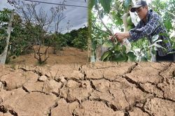 Hồ đập cạn khô, ruộng đồng nứt nẻ, dân quay cuồng trong nắng nóng miền Trung