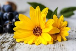 Dự báo thứ Hai ngày 22/6/2020 của 12 cung hoàng đạo