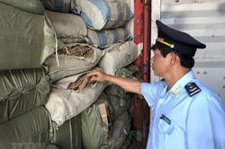 Đà Nẵng: Phát hiện 5 container nghi là dược liệu nhập lậu