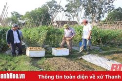 Đổi mới, nâng cao chất lượng công tác tuyên giáo cơ sở