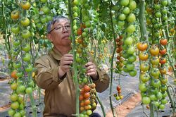 Giải pháp tăng trưởng 10%/năm ở Đà Lạt