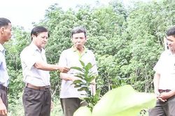 Trung Nam phấn đấu trở thành xã nông thôn mới kiểu mẫu