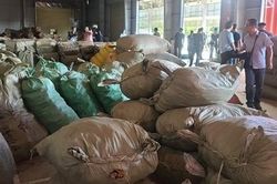 103 tấn dược liệu 'đội lốt' nông sản từ Trung Quốc nhập cảng Đà Nẵng