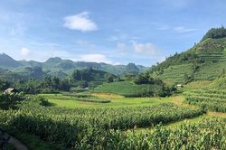 Những thung lũng ngập nắng ở Bắc Hà