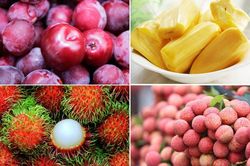 Khác biệt trong mâm cúng tết Đoan ngọ ở miền Nam và miền Bắc